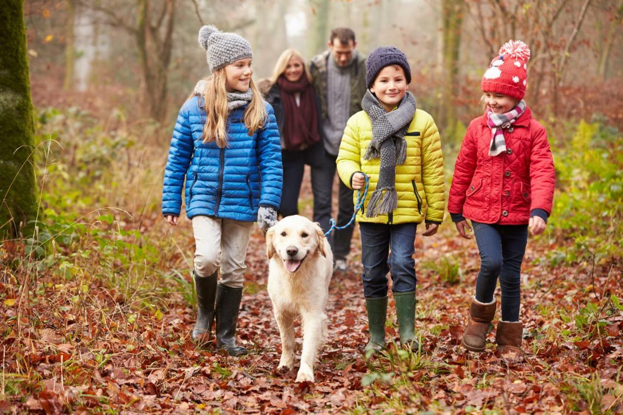 Macdonald Woodland Lodges At Macdonald Aviemore Resort ภายนอก รูปภาพ